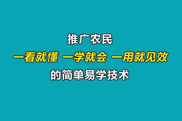 引導(dǎo)農(nóng)民合理施肥用藥,推廣一看就懂、一學(xué)就會(huì)、一用就見(jiàn)效的技術(shù)