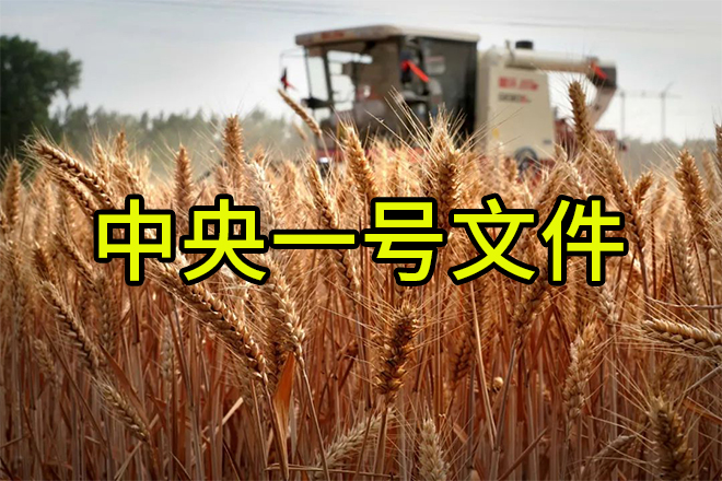 《轉(zhuǎn)發(fā)》老趙說(shuō)農(nóng)資：解讀2024中央一號(hào)文件，肥料生產(chǎn)企業(yè)這樣干
